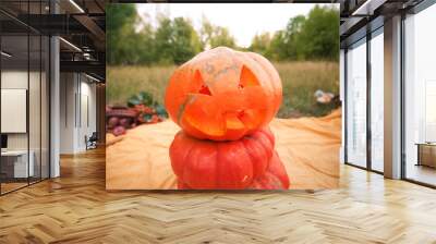 Pumpkins stand with a pyramid against the background of a yellow plaid and green grass. Carved pumpkin on Halloween. Natural texture of pumpkins. Autumn harvest of pumpkins. Place and background for t Wall mural