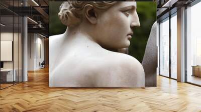 realistic marble statue Wall mural