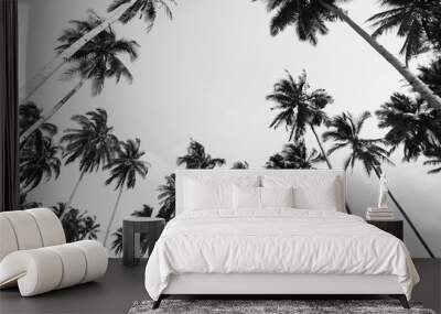 Coconut tree view in black and white with vintage effect. Wall mural