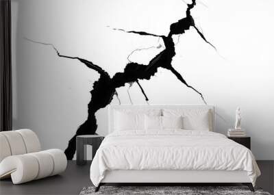 Black split broken crack cleft rift in the ground floor isolated on transparent background. Destruction effect line, rock or wall tear Wall mural