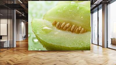 Honeydew melon closeup, juicy freshness fruit for healthy organic diet, delicious tropical food, green ripe cantaloupe slice, natural sweet vegetarian nutrition, raw summer dessert Wall mural