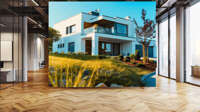 Luxury house or home mansion apartment backyard. Outdoor exterior architecture, beautiful modern suburban residential real estate property, contemporary, lawn, garden, tree Wall mural