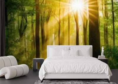 Serene green forest with sunlight shining through trees, creating a peaceful atmosphere and natural beauty, perfect for nature, tranquility, and outdoor scenery concepts Wall mural