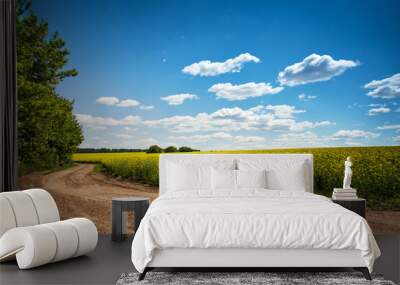 Dirt road in flowering field, beautiful countryside, sunny day Wall mural