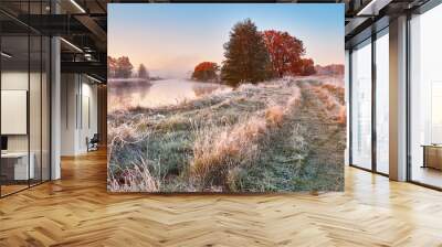 Foggy river and meadow fall sunrise. Grass covered with white frost on riverbank in early morning panorama. Dirt road on field, oak tree with orange leaves Wall mural