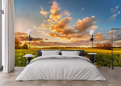 Spring colorful cloud sunset over colza field. Rural dirt road Wall mural