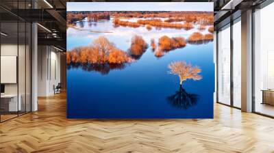 Spring flood rural landscape. Trees, meadow, bushes, fields, country road under High Water inundation. Sky, clouds reflection in evening light. Freshet Overflow aerial view. Floodplain area. Wall mural