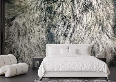 abstract fur background Wall mural