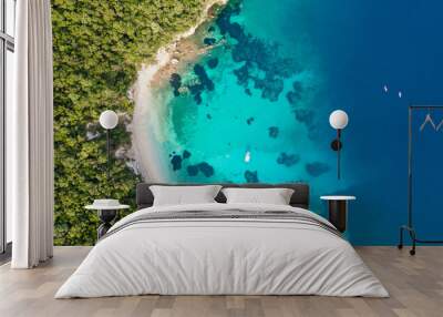 aerial view of a caribbean island Wall mural