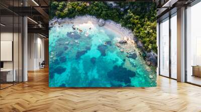 aerial view of a caribbean island Wall mural