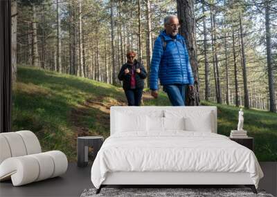 Old couple walking in nature and talk at sunset. Cheerful elder couple hiking in forest. Enjoying nature, having a good time on their retirement Wall mural