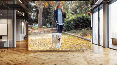 Attractive young woman walking with her lovely golden retriever dog while using her smart phone in the park in autumn. Wall mural