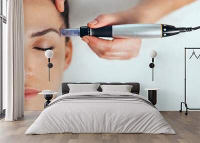 Cosmetologist making mesotherapy injection with dermapen on face for rejuvenation on the spa center. Wall mural