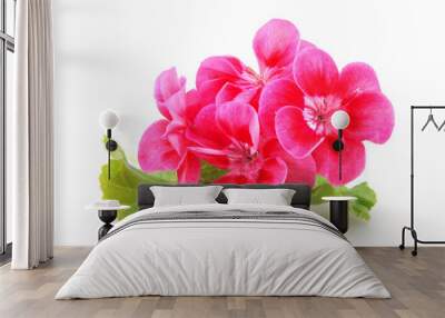 Geranium Pelargonium Flowers Isolated On White Background Wall mural