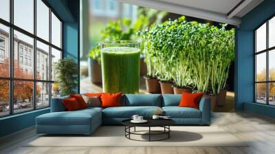 Fresh green smoothie in a glass next to microgreens on a kitchen counter. Healthy lifestyle concept. Natural background Wall mural