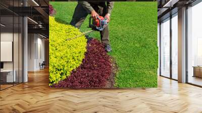 A man trimming shrub with Hedge Trimmer, Green grass copyspace Wall mural