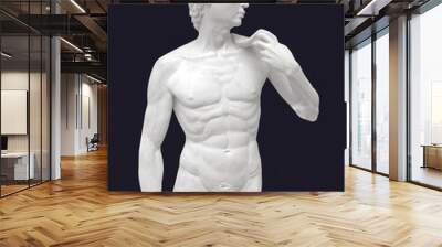 Model statue of David isolated on black  Wall mural