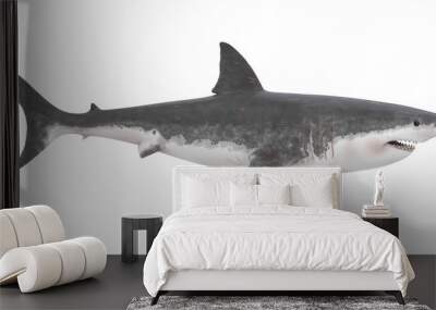 Great White Shark Isolated Wall mural