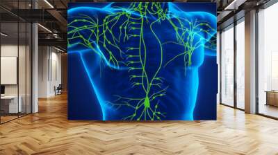 Human Lymphatic System Illustration Wall mural