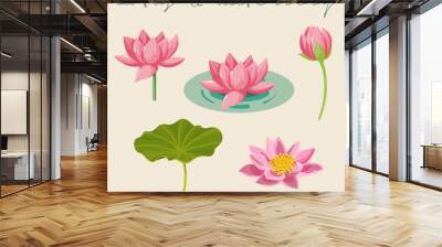 Set of Nelumbo nucifera, Waterlily and Nymphaea nouchali, Lotus Flowers and leaf Botanical vector illustrations Wall mural