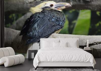 vulture on a branch Wall mural