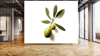 Green olive branch on a white background Wall mural