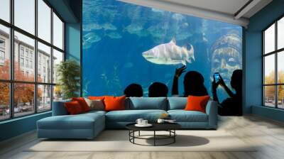 Shark in aquarium. Bangkok, Thailand. Wall mural