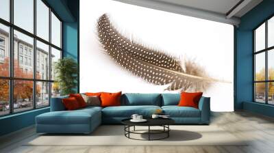 Mole feather of a bird wings on white background Wall mural