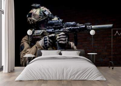 spec ops soldier in uniform with assault rifle/man in military uniform with assault rifle aiming at  Wall mural