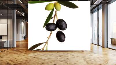 Black and green olives on branch with leaves Wall mural