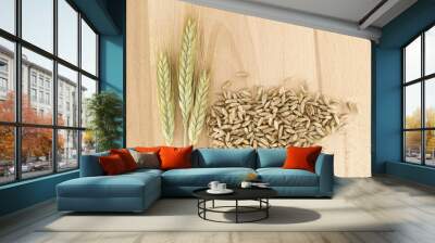 Rye grains and stalks for natural food and agriculture background Wall mural