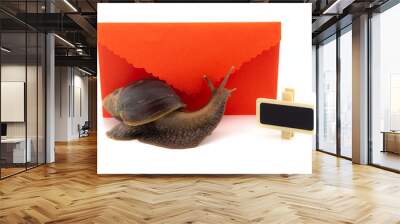 Terrestrial snail in front of red envelope Wall mural