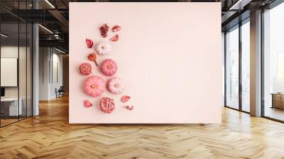 Collection of handmade plaster pumkins. Autumn seasonal holidays background in pink colors. DIY craft pumkins for helloween, thanksgiving, fall decoration Wall mural