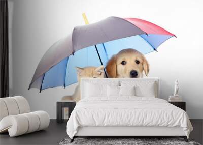 Cute cat and dog sitting under umbrella. Pet insurance, protection and wellness idea. AI generative Wall mural