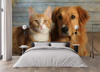 Cute dog and cat together Wall mural