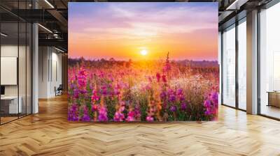 field flower meadow beautiful sunset countryside violet blooming pink nature background Wall mural