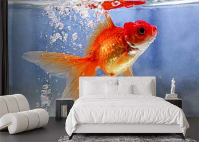 Goldfish jumping out of round fishbowl into freedom Wall mural