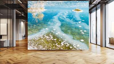 View of salty lake bottom with bubbling algae and shells, abstract nature background Wall mural