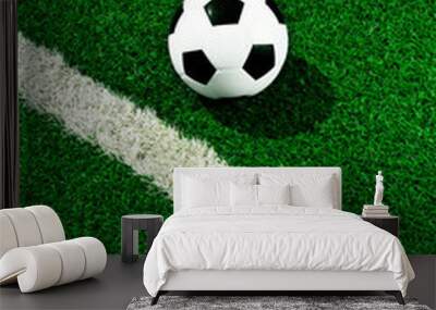 soccer ball on green grass Wall mural