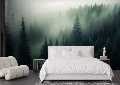  foggy forest landscape view from above Wall mural