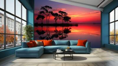 Scenic sunset with tree silhouettes on water s edge Wall mural