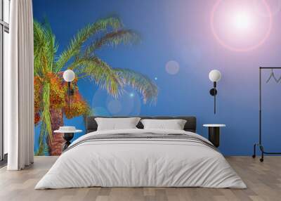 Banner concept with colorful tropical date palm trees with edible sweet fruits at blue gradient sky background with copy space and lens flare effect, details, closeup Wall mural