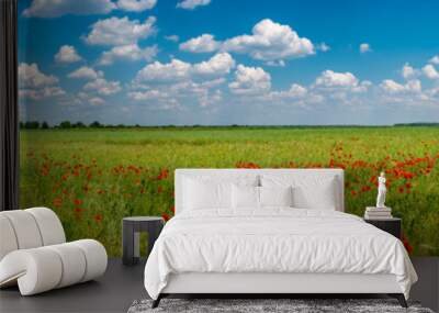 Panoramic view over grassland landscape with red meadow field of poppies and beautiful nature at Spring countryside, wide angle Wall mural