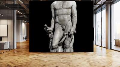 Statue of powerful Neptune in Florence, Italy, isolated at black background, details Wall mural