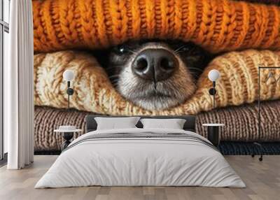 Dog face peeking through stack of colorful knitted sweaters. Cozy autumn or winter concept. Image for social media, greeting cards, and seasonal marketing. Wall mural