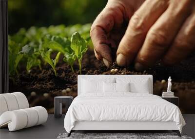 Sustainable farming. A close-up shot of a hand planting seeds in dark soil among rows of green seedlings, symbolizing growth and nurturing in agriculture.  Wall mural