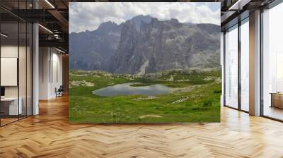 mountain Wall mural