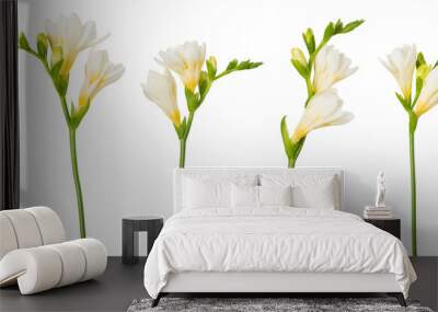 Freesia flower set twigs in bloom isolated on white background Wall mural