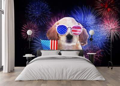 4th of July - Independence Day of USA. Cute dog with sunglasses and American flag on dark background with fireworks Wall mural