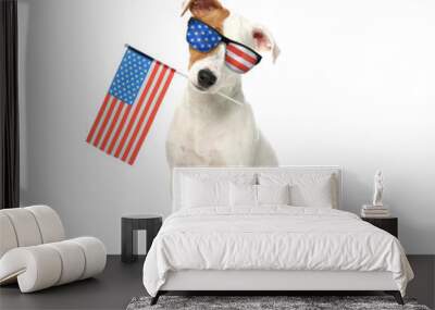 4th of July - Independence Day of USA. Cute dog with sunglasses and American flag on white background Wall mural